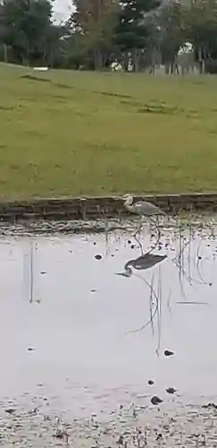 花之木稲荷神社の周辺