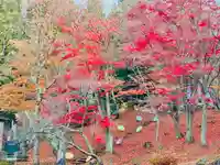 土津神社|こどもと出世の神さま(福島県)