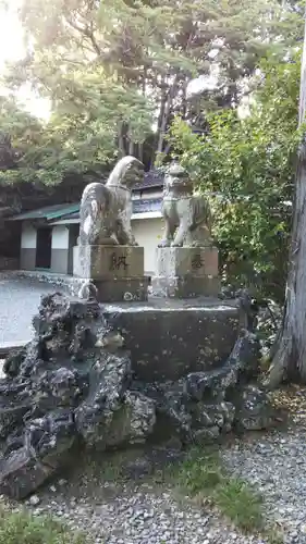神戸大井神社の狛犬