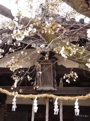 林神社の本殿・本堂