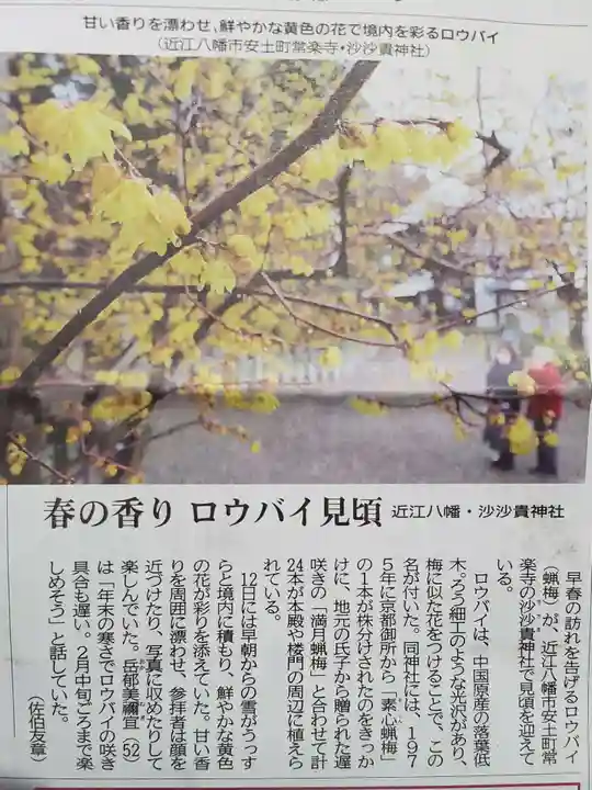 沙沙貴神社(滋賀県)