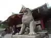 神田神社(神田明神)の狛犬
