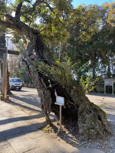 一言主神社(茨城県)
