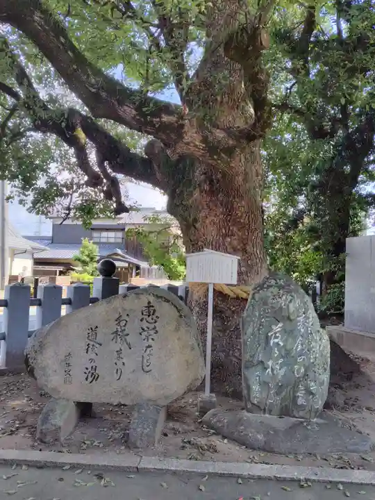 伊豫豆比古命神社(愛媛県)