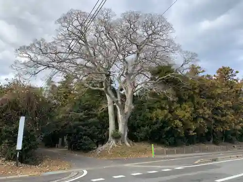 皇産靈神社(千葉県)