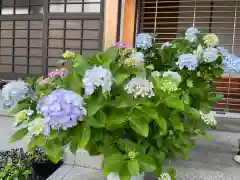 松本山　地福禅寺の自然