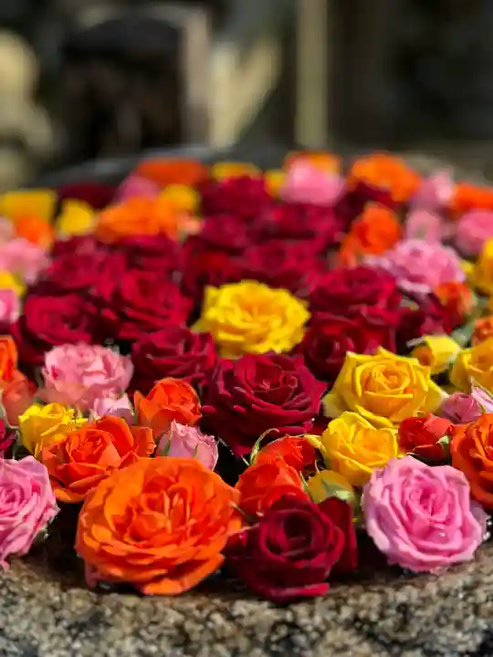 丹生都比売神社(和歌山県)