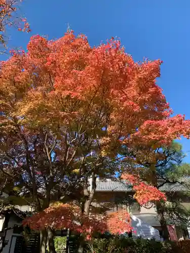 東福禅寺（東福寺）(京都府)