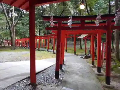 橿原神宮の鳥居