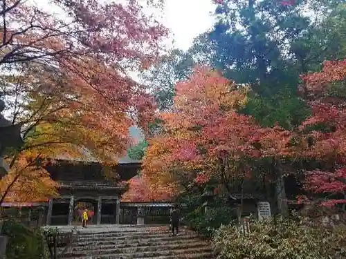 大矢田神社の自然