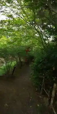 鍬山神社(京都府)