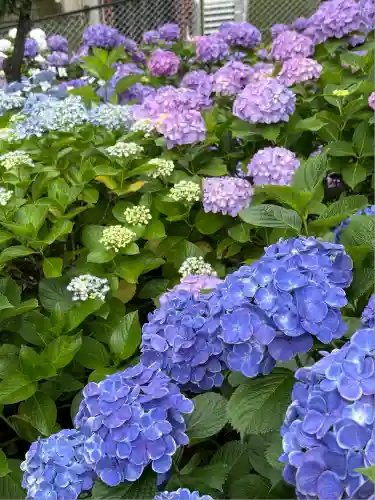 白山神社(東京都)