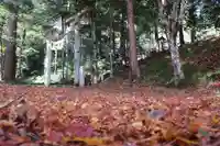 波爾布神社(滋賀県)