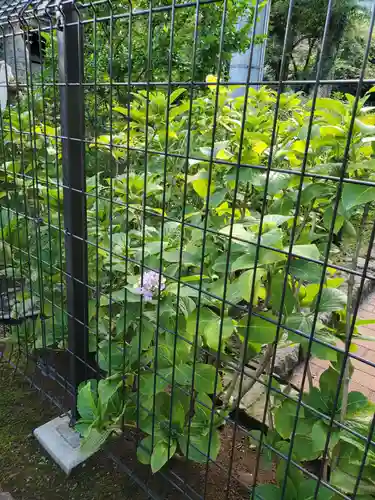 白山神社の庭園