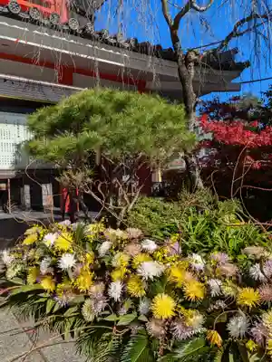 高幡不動尊　金剛寺(東京都)