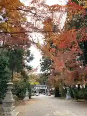 水戸八幡宮(茨城県)