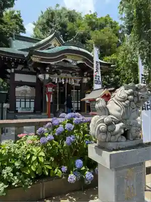 川越八幡宮(埼玉県)