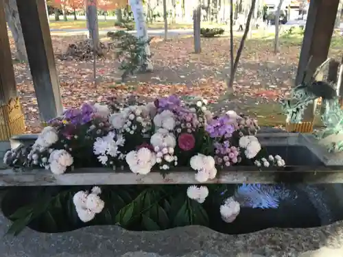 彌彦神社　(伊夜日子神社)の手水舎