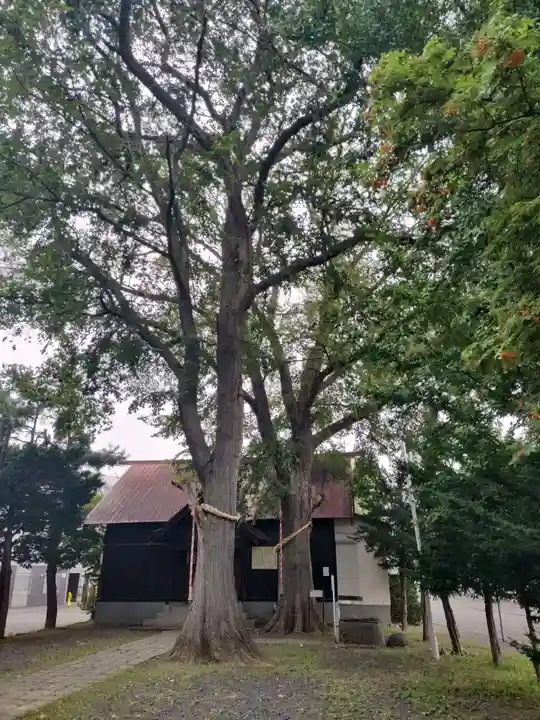 中の島神社(北海道)