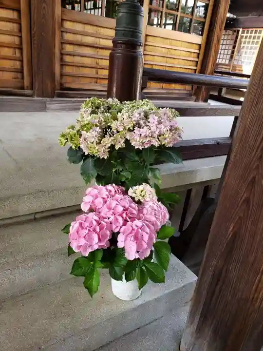 本郷氷川神社(東京都)