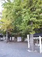 星置神社の自然