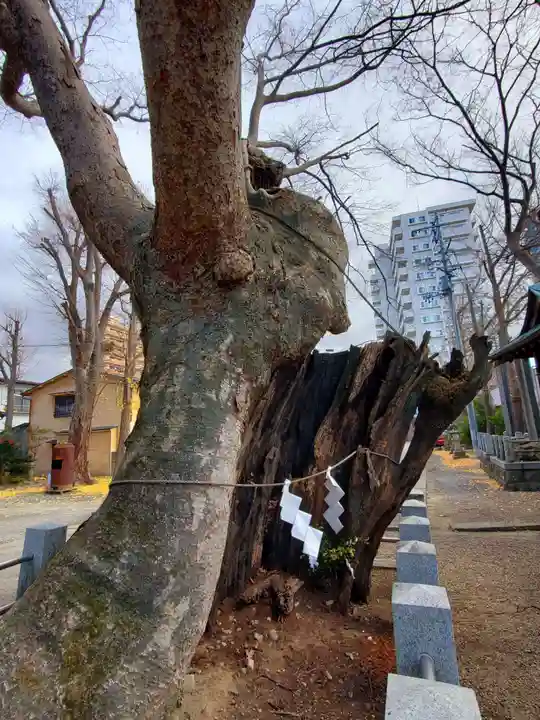 阿邪訶根神社の自然
