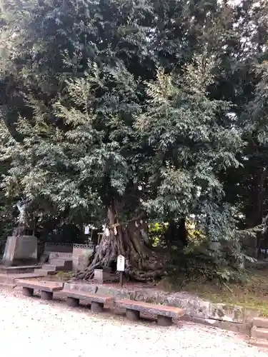揖夜神社のその他建物