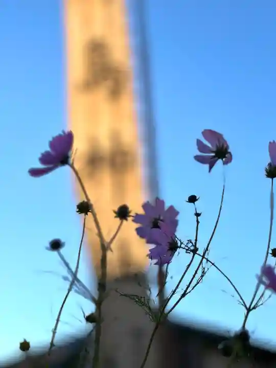 白鳥神社の自然