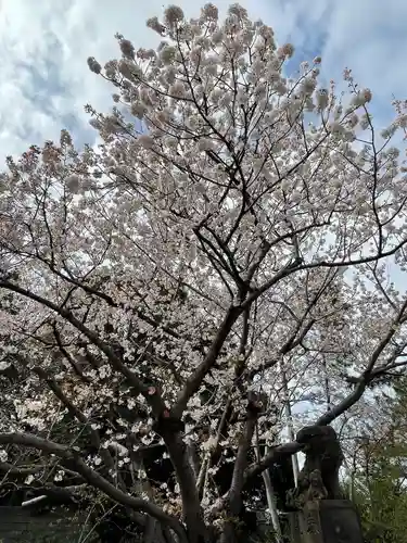 検見川神社の自然