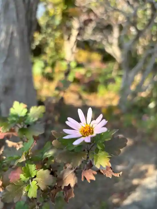 良仙寺(兵庫県)
