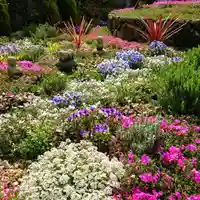 寿量山 速成寺の庭園