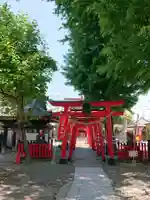 於菊稲荷神社の鳥居