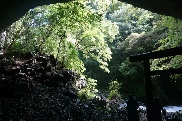 天岩戸神社の自然