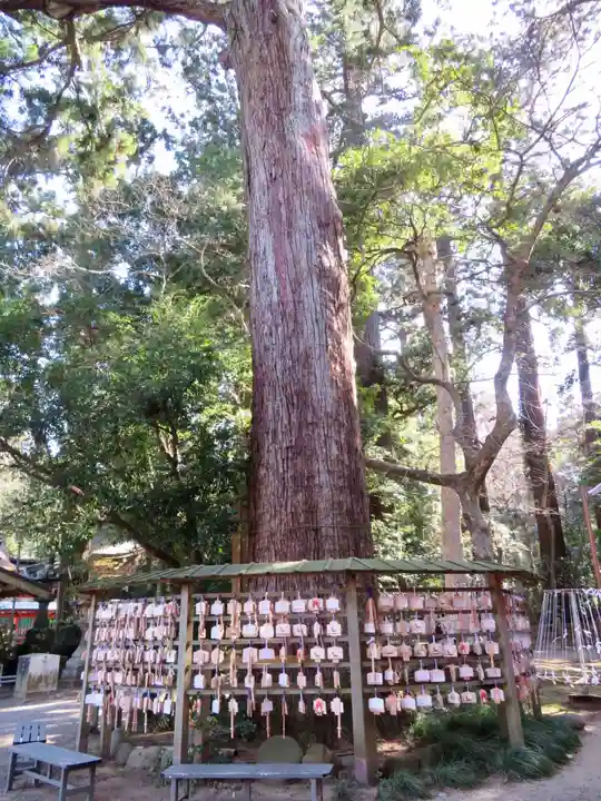 鹿島神宮の自然