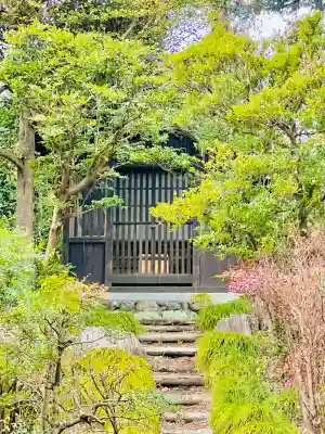 岩之上堂の{uncategorized: "未分類", other: "その他", undefined: "問題あり", building: "その他建物", grave: "お墓", sacred_gate: "鳥居", guardian: "狛犬", statue: "像", buddha: "仏像", history: "歴史", nature: "自然", garden: "庭園", animal: "動物", pagoda: "塔", temizu: "手水舎", mountain_gate: "山門・神門", sanctuary: "本殿・本堂", subordinate: "末社・摂社", art: "芸術", scenery: "景色", jizo: "地蔵", ema: "絵馬", goshuin: "御朱印", omikuji: "おみくじ", items: "授与品その他", amulet: "お守り", goshuincho: "御朱印帳", eats: "食事", festival: "お祭り", votive_dance: "神楽", shichigosan: "七五三参", wedding: "結婚式", experience: "体験その他", initially: "初詣", around: "周辺", anti_infection: "感染症対策"}