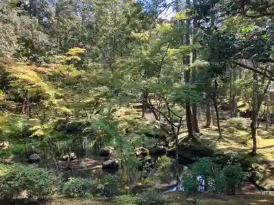 西芳寺(京都府)
