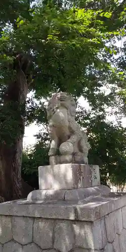 膳所神社の狛犬