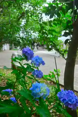 篠原八幡神社(神奈川県)