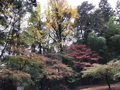 美奈宜神社の景色