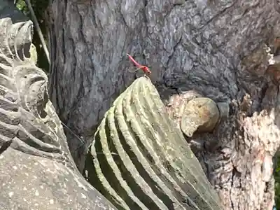 高島神社(北海道)