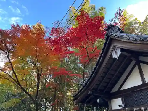石清水八幡宮(京都府)