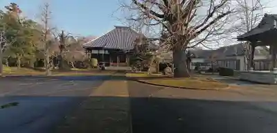 報恩寺の本殿・本堂