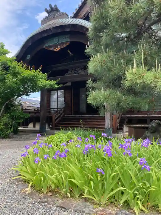 得浄明院(善光寺別院)(京都府)