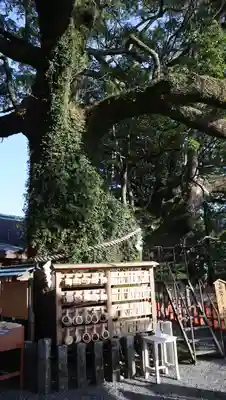 熊野那智大社(和歌山県)