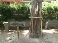 賀志波比売神社のその他建物