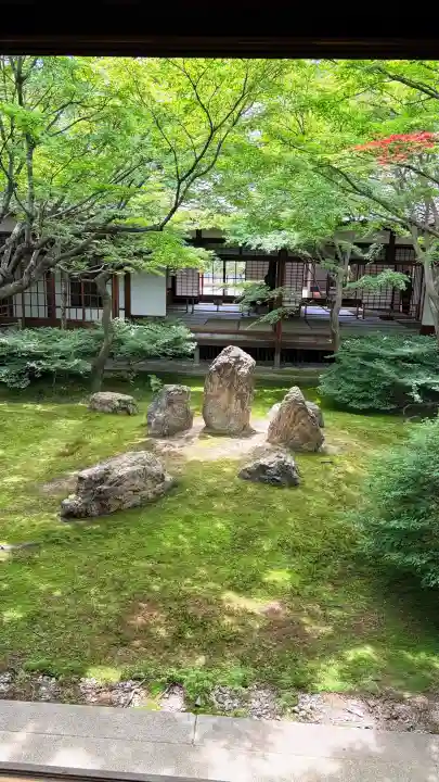 建仁寺(建仁禅寺)(京都府)