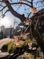 瑞円寺(東京都)