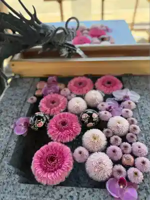 川越八幡宮(埼玉県)