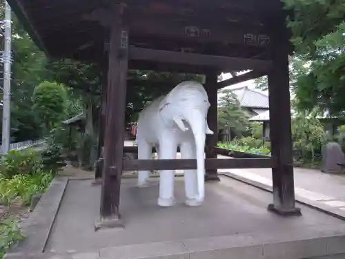 観音寺(埼玉県)