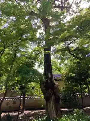 東福寺(東京都)